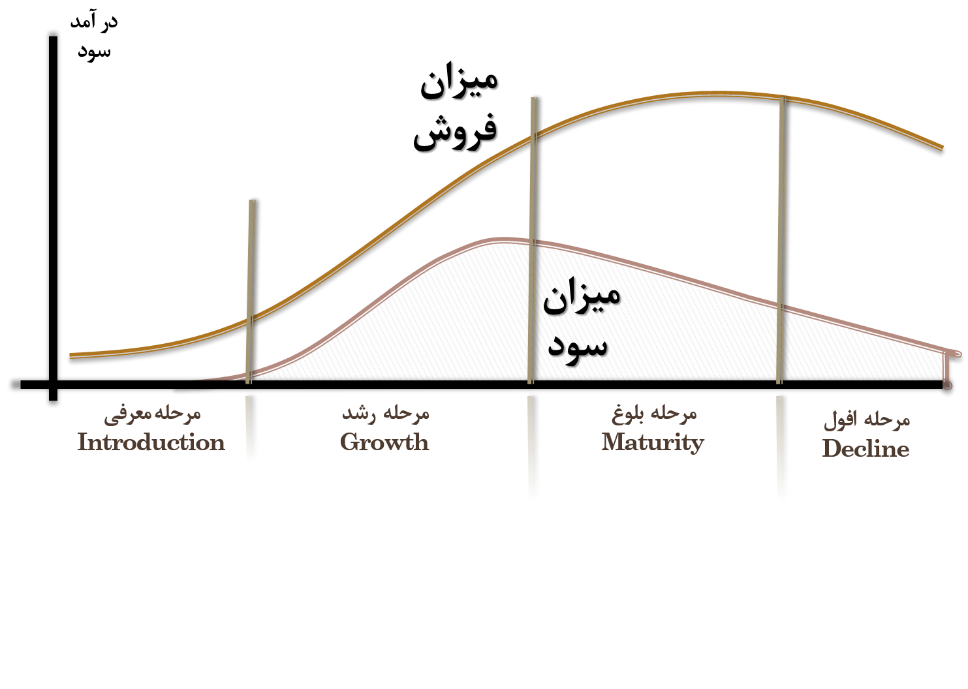 مراحل چرخه عمر محصول